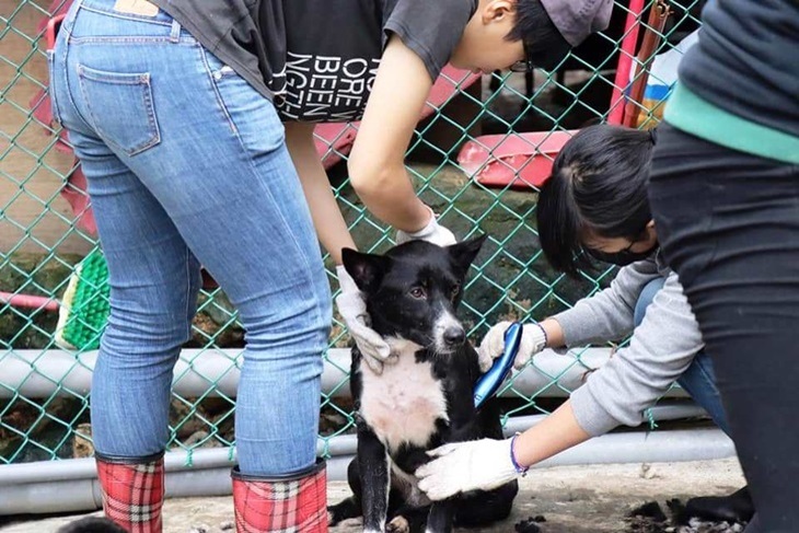 一起夢想－毛孩與我