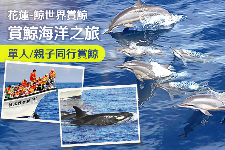 花蓮-鯨世界賞鯨
