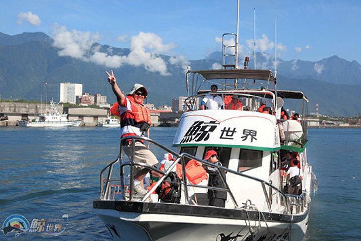 花蓮-鯨世界賞鯨