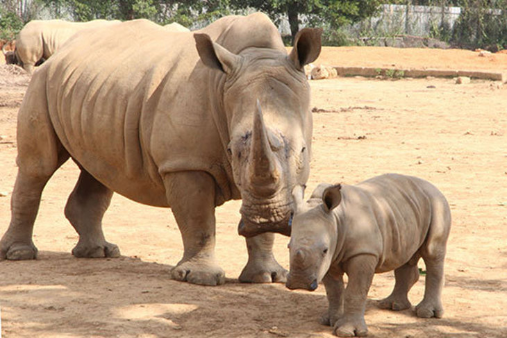 六福村主題遊樂園