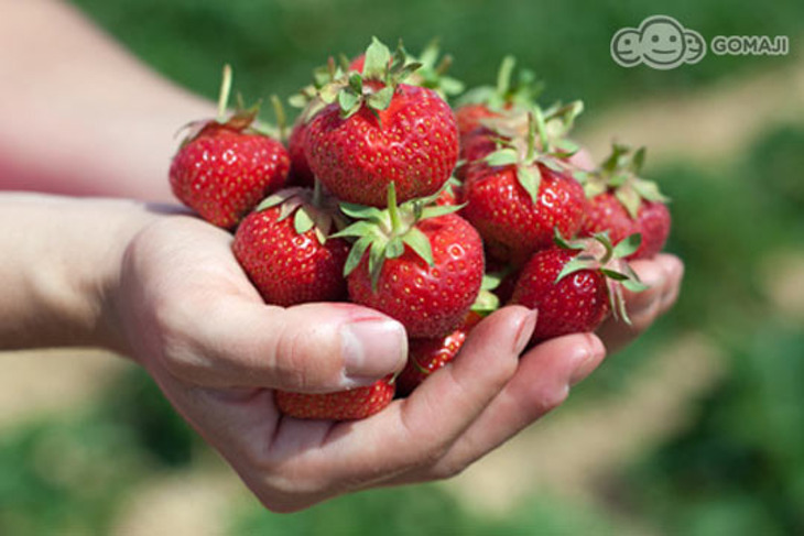 泰安湯之島-虎山溫泉會館