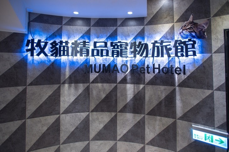 台南-牧貓精品寵物旅館