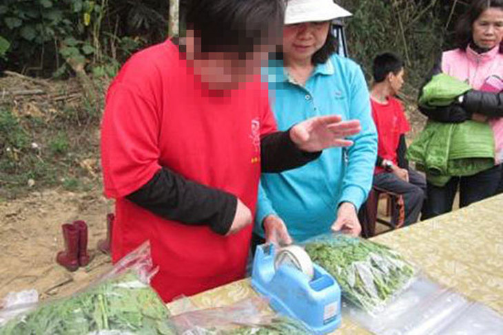 一起夢想─給心智障礙者一個發光發熱的舞台