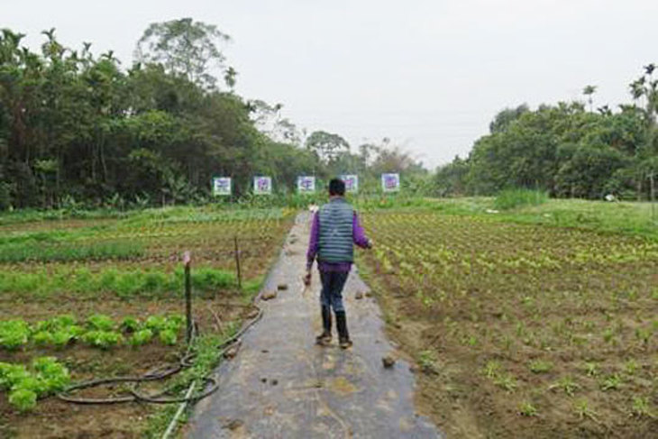 一起夢想─給心智障礙者一個發光發熱的舞台