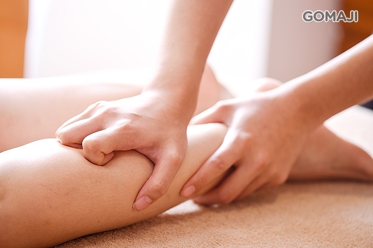 夢詩嘉養生御所