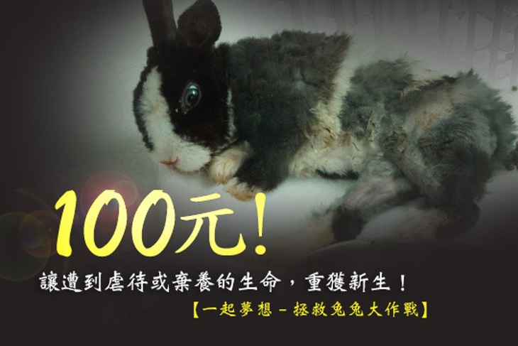 一起夢想－拯救兔兔大作戰