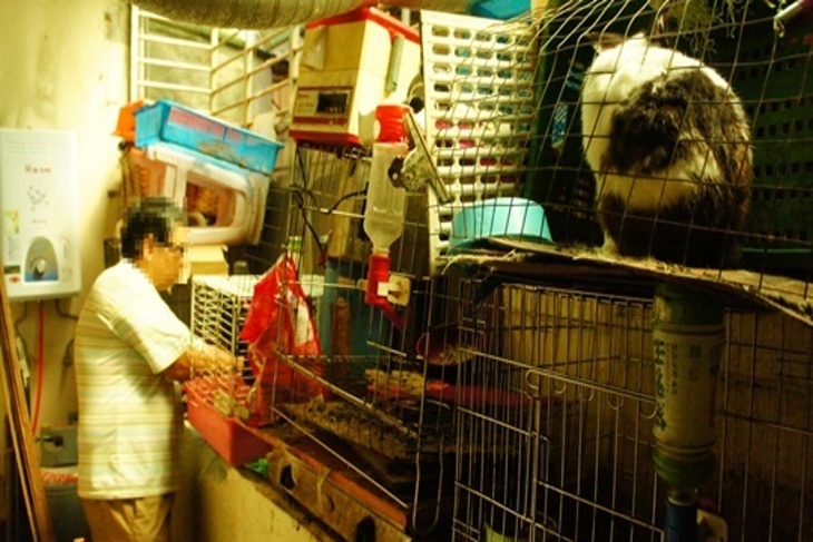 一起夢想－拯救兔兔大作戰