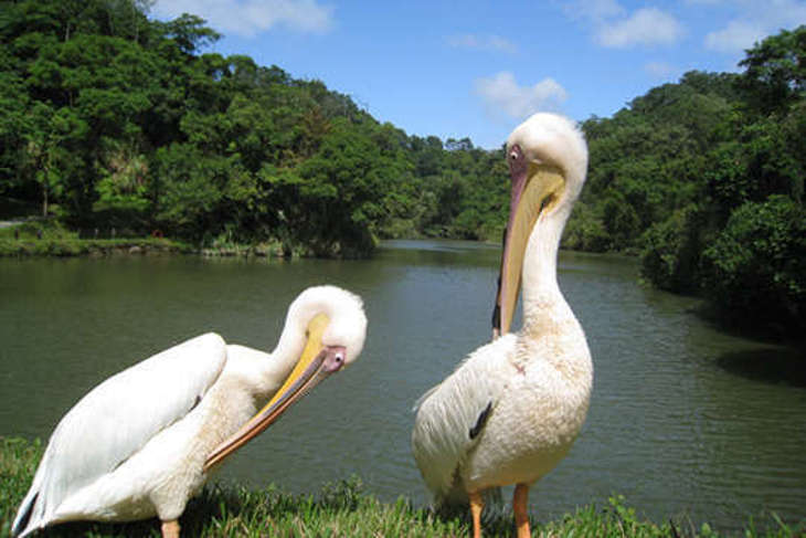 新竹-綠世界生態農場