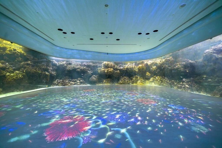 【Xpark水族館】單人套票