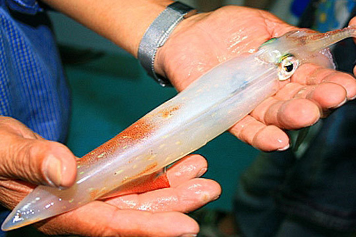 雙人/四人三天二夜專案