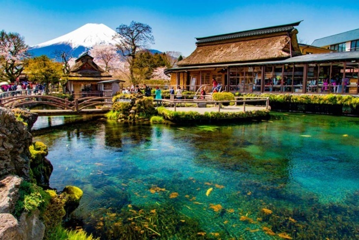 日本-東京賞櫻一日遊(御殿場 Outlets、忍野八海、河口湖櫻花會場)