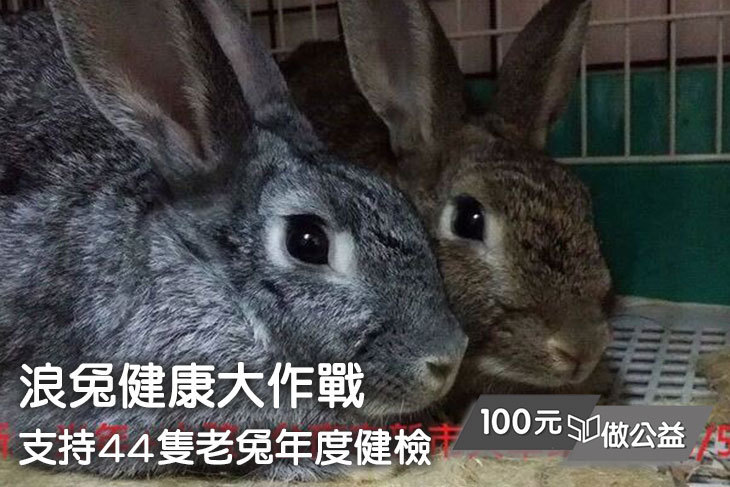 浪兔健康大作戰，支持44隻老兔年度健檢