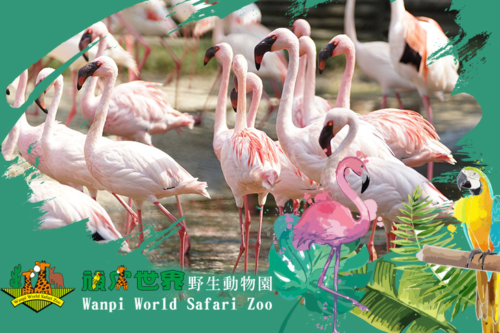 台南 頑皮世界動物園超值優惠方案 Gomaji夠麻吉