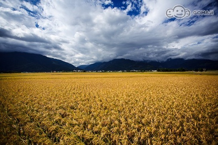 安心玩綠島遊覽車+搭船4日(早去晚回)