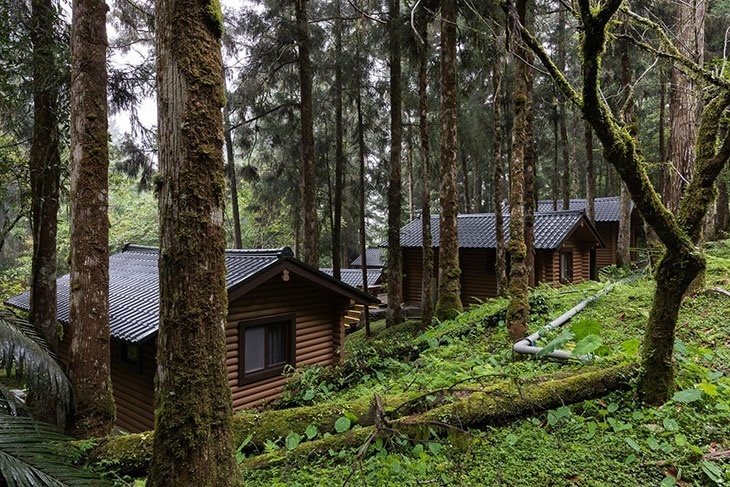 力麗馬告生態園區-棲蘭山莊/明池山莊