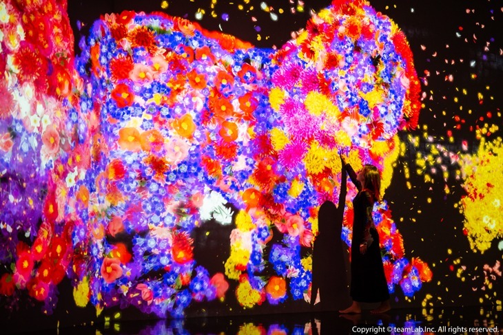 teamLab 未來遊樂園&與花共生的動物們
