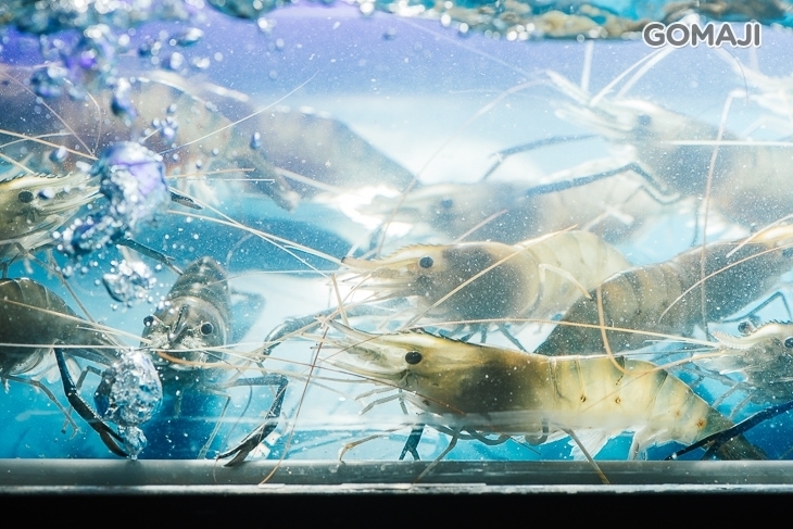 那兩蚵夜景流水蝦吃到飽