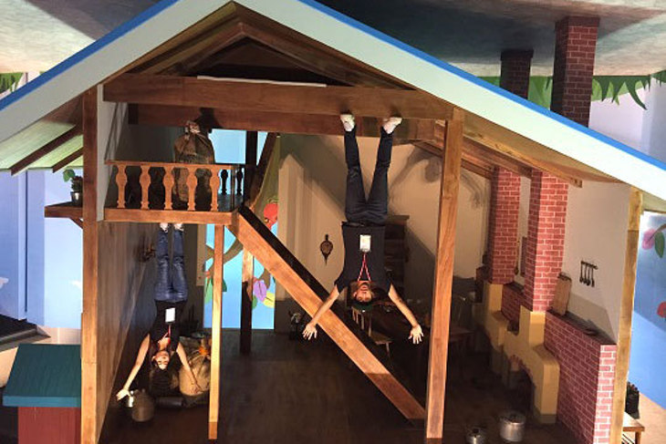 【不只是顛倒屋特展】早鳥單人票一張