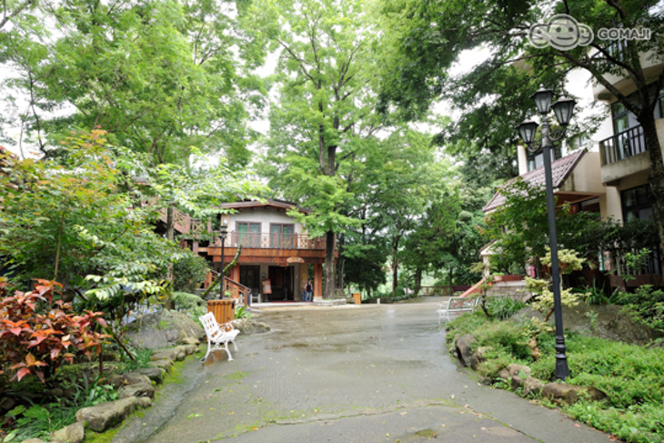 泰安湯之島-虎山溫泉會館