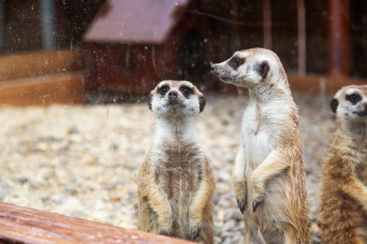 新竹尖石-新月塢溫泉