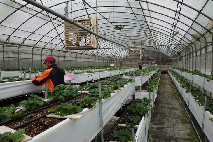 讓愛更生，麵包傳愛