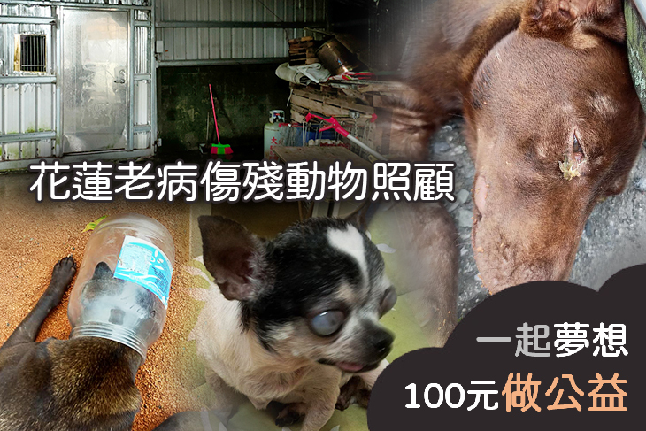 花蓮老病傷殘動物照顧