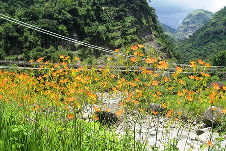 嘉義-東方明珠國際大飯店