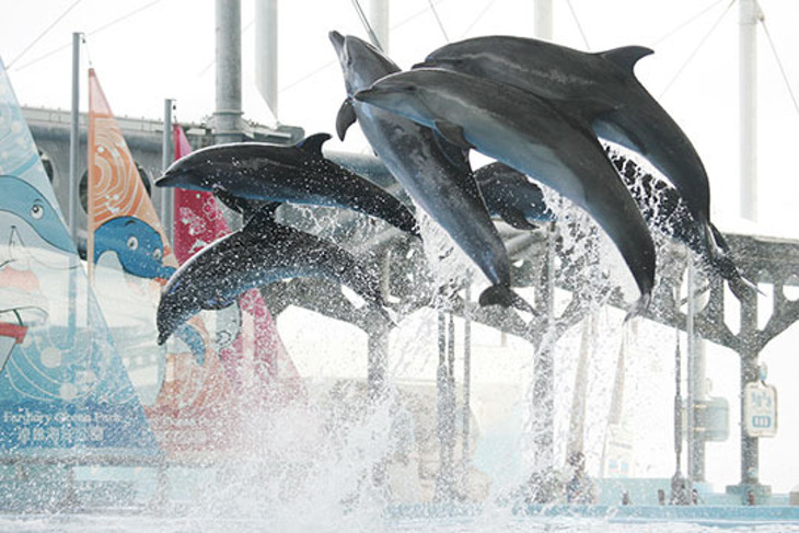 花蓮-遠雄海洋公園