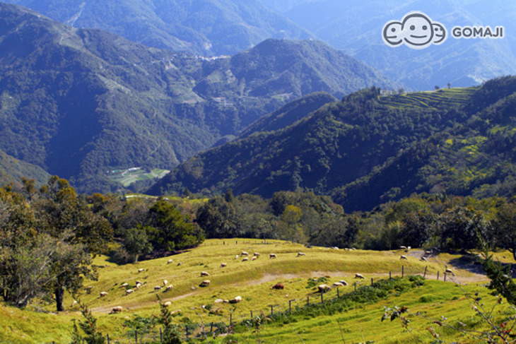 南投清境-儷景花園渡假山莊