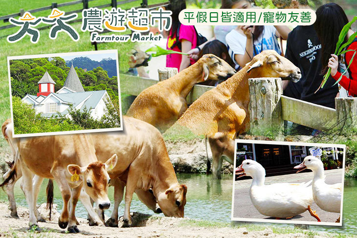 【夠麻吉X農遊超市】苗栗飛牛牧場