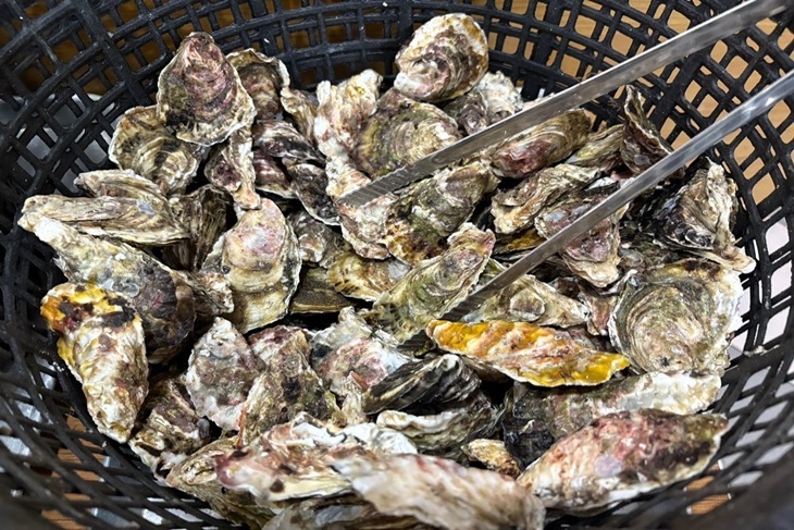 南海室內燒烤