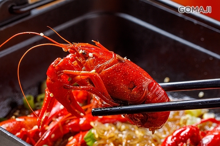 港點大師(土城日月光店)