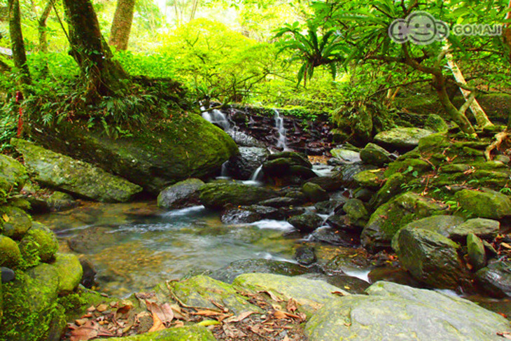 烏來-伊豆溫泉會館