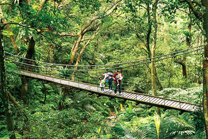 三峽-大板根森林溫泉酒店