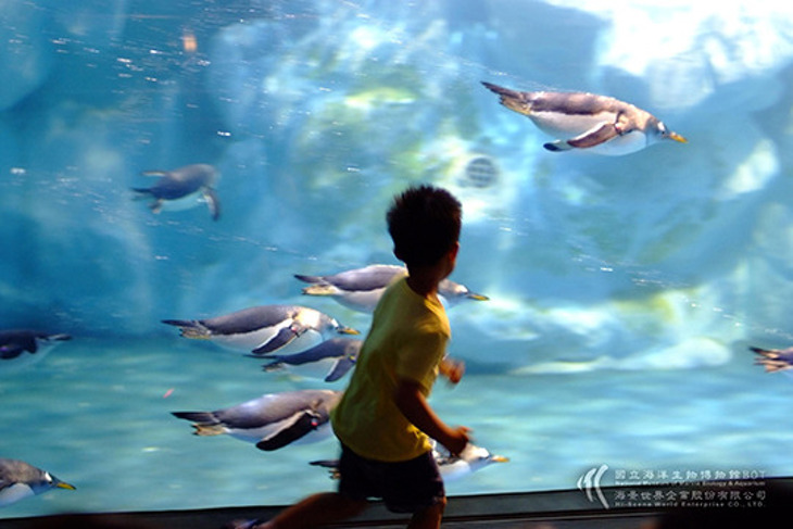 屏東 國立海洋生物博物館超值優惠方案 Gomaji夠麻吉