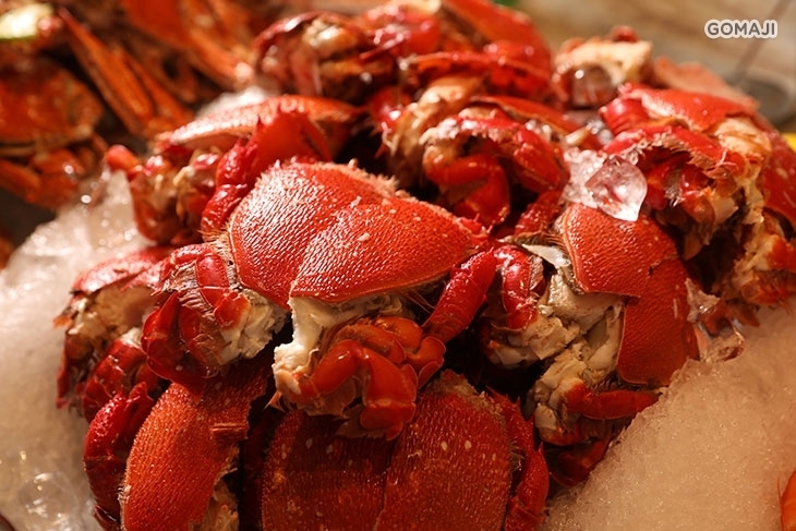 板橋凱撒大飯店