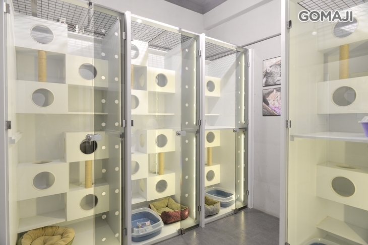 王子與公主寵物美容精品旅館