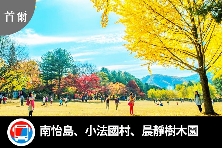 韓國-首爾韓劇一日遊(南怡島、小法國村、晨靜樹木園)