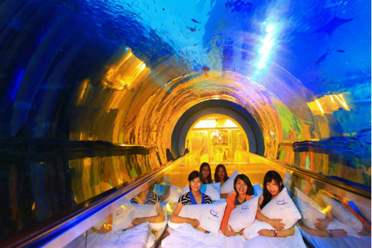 夜宿海生館x小墾丁渡假村