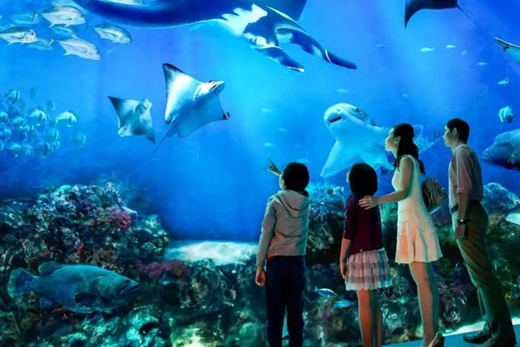 新加坡-聖淘沙名勝世界™S.E.A海洋館一日門票