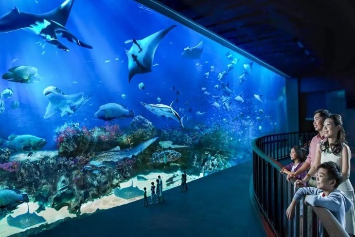 新加坡-聖淘沙名勝世界™S.E.A海洋館一日門票