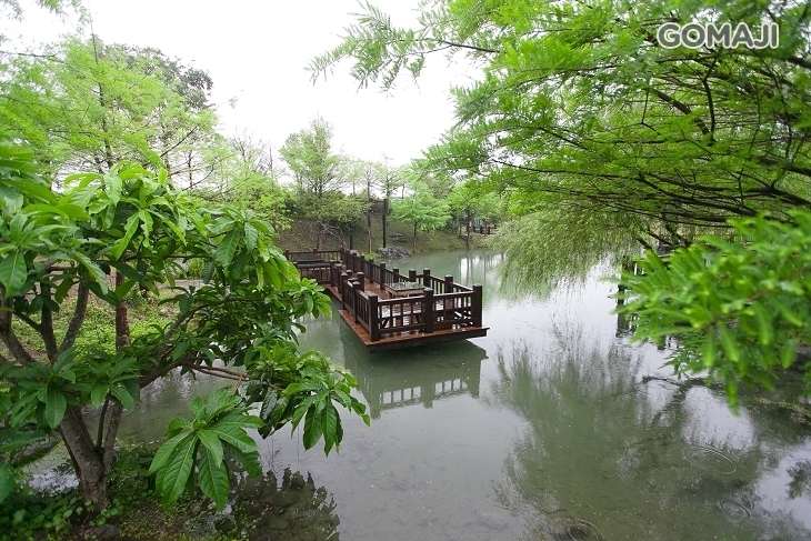 花蓮-汎水淩山民宿