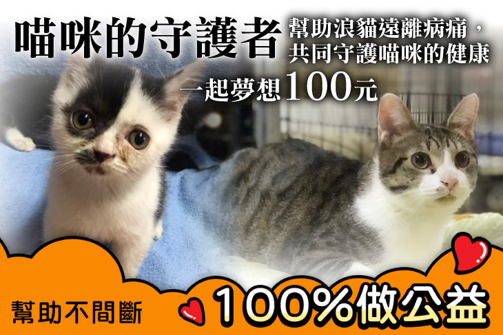 【一起夢想-喵咪的守護者】