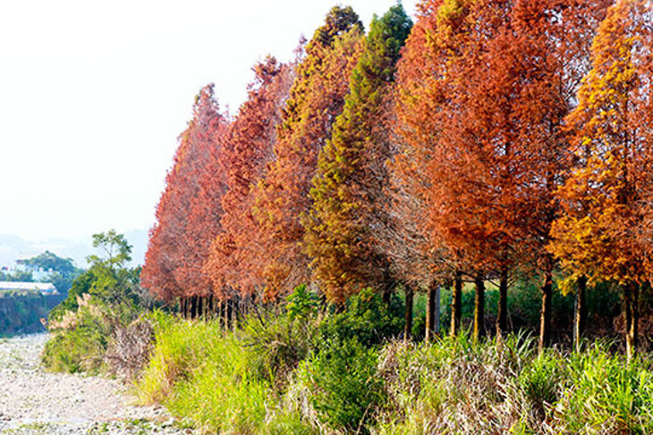 雲林-劍湖山王子大飯店