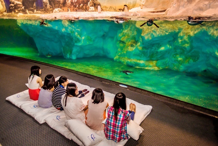 國立海洋生物博物館