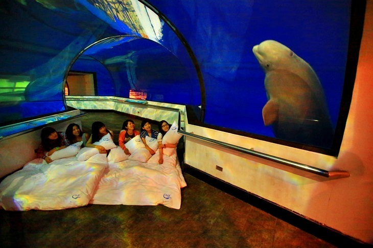 國立海洋生物博物館