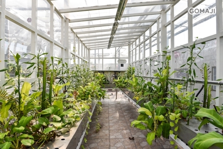 台南－虹泰水凝膠觀光工廠