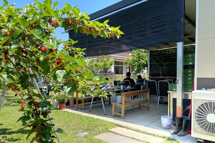 【夠麻吉X農遊超市】月眉85莊園