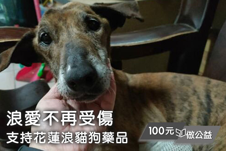 浪愛不再受傷，支持花蓮浪貓狗藥品