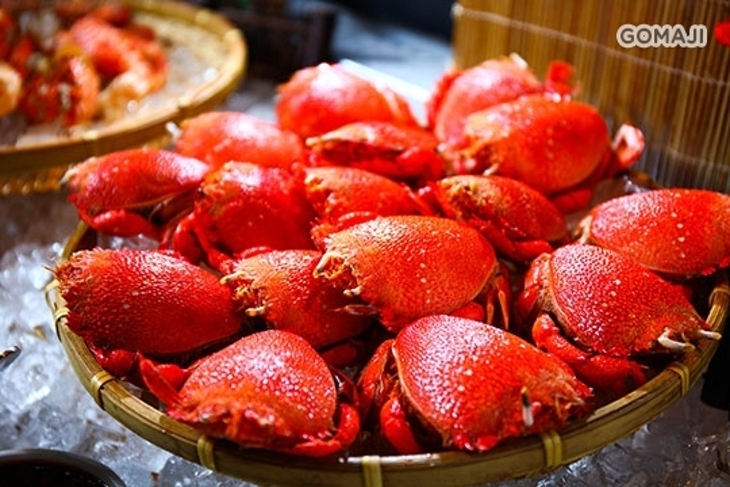 台中日光溫泉會館-花見西餐廳